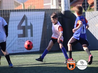 
<a style='margin-left: 5px;' class='btn btn-xs btn-social btn-facebook' href='https://www.facebook.com/sharer/sharer.php?u=https://www.boladovale.com.br/imgs/800-800-90/conteudo/fotos/1900/img3688.jpg' rel='popup' data-width='500' data-height='400'><i class='fa fa-facebook'></i>Compartilhar <span class='hidden-xs'>no Facebook</span>
</a> 
<a class='btn btn-default btn-xs' target='_blank' href='imgs/800-800-90/conteudo/fotos/1900/img3688.jpg'>
<span class='glyphicon glyphicon-cloud-download'></span> Salvar
</a> 
<span></span>