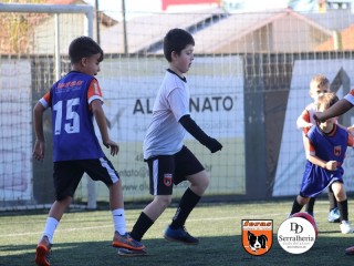 
<a style='margin-left: 5px;' class='btn btn-xs btn-social btn-facebook' href='https://www.facebook.com/sharer/sharer.php?u=https://www.boladovale.com.br/imgs/800-800-90/conteudo/fotos/1900/img3689.jpg' rel='popup' data-width='500' data-height='400'><i class='fa fa-facebook'></i>Compartilhar <span class='hidden-xs'>no Facebook</span>
</a> 
<a class='btn btn-default btn-xs' target='_blank' href='imgs/800-800-90/conteudo/fotos/1900/img3689.jpg'>
<span class='glyphicon glyphicon-cloud-download'></span> Salvar
</a> 
<span></span>