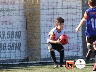 
<a style='margin-left: 5px;' class='btn btn-xs btn-social btn-facebook' href='https://www.facebook.com/sharer/sharer.php?u=https://www.boladovale.com.br/imgs/800-800-90/conteudo/fotos/1900/img3691.jpg' rel='popup' data-width='500' data-height='400'><i class='fa fa-facebook'></i>Compartilhar <span class='hidden-xs'>no Facebook</span>
</a> 
<a class='btn btn-default btn-xs' target='_blank' href='imgs/800-800-90/conteudo/fotos/1900/img3691.jpg'>
<span class='glyphicon glyphicon-cloud-download'></span> Salvar
</a> 
<span></span>