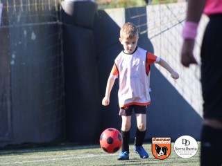
<a style='margin-left: 5px;' class='btn btn-xs btn-social btn-facebook' href='https://www.facebook.com/sharer/sharer.php?u=https://www.boladovale.com.br/imgs/800-800-90/conteudo/fotos/1900/img3692.jpg' rel='popup' data-width='500' data-height='400'><i class='fa fa-facebook'></i>Compartilhar <span class='hidden-xs'>no Facebook</span>
</a> 
<a class='btn btn-default btn-xs' target='_blank' href='imgs/800-800-90/conteudo/fotos/1900/img3692.jpg'>
<span class='glyphicon glyphicon-cloud-download'></span> Salvar
</a> 
<span></span>