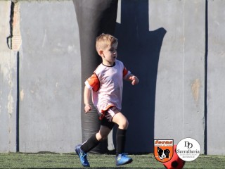
<a style='margin-left: 5px;' class='btn btn-xs btn-social btn-facebook' href='https://www.facebook.com/sharer/sharer.php?u=https://www.boladovale.com.br/imgs/800-800-90/conteudo/fotos/1900/img3693.jpg' rel='popup' data-width='500' data-height='400'><i class='fa fa-facebook'></i>Compartilhar <span class='hidden-xs'>no Facebook</span>
</a> 
<a class='btn btn-default btn-xs' target='_blank' href='imgs/800-800-90/conteudo/fotos/1900/img3693.jpg'>
<span class='glyphicon glyphicon-cloud-download'></span> Salvar
</a> 
<span></span>