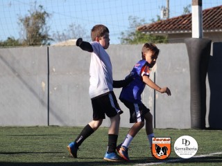 
<a style='margin-left: 5px;' class='btn btn-xs btn-social btn-facebook' href='https://www.facebook.com/sharer/sharer.php?u=https://www.boladovale.com.br/imgs/800-800-90/conteudo/fotos/1900/img3698.jpg' rel='popup' data-width='500' data-height='400'><i class='fa fa-facebook'></i>Compartilhar <span class='hidden-xs'>no Facebook</span>
</a> 
<a class='btn btn-default btn-xs' target='_blank' href='imgs/800-800-90/conteudo/fotos/1900/img3698.jpg'>
<span class='glyphicon glyphicon-cloud-download'></span> Salvar
</a> 
<span></span>