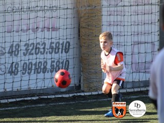 
<a style='margin-left: 5px;' class='btn btn-xs btn-social btn-facebook' href='https://www.facebook.com/sharer/sharer.php?u=https://www.boladovale.com.br/imgs/800-800-90/conteudo/fotos/1900/img3711.jpg' rel='popup' data-width='500' data-height='400'><i class='fa fa-facebook'></i>Compartilhar <span class='hidden-xs'>no Facebook</span>
</a> 
<a class='btn btn-default btn-xs' target='_blank' href='imgs/800-800-90/conteudo/fotos/1900/img3711.jpg'>
<span class='glyphicon glyphicon-cloud-download'></span> Salvar
</a> 
<span></span>