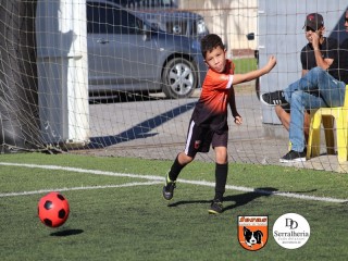 
<a style='margin-left: 5px;' class='btn btn-xs btn-social btn-facebook' href='https://www.facebook.com/sharer/sharer.php?u=https://www.boladovale.com.br/imgs/800-800-90/conteudo/fotos/1900/img3715.jpg' rel='popup' data-width='500' data-height='400'><i class='fa fa-facebook'></i>Compartilhar <span class='hidden-xs'>no Facebook</span>
</a> 
<a class='btn btn-default btn-xs' target='_blank' href='imgs/800-800-90/conteudo/fotos/1900/img3715.jpg'>
<span class='glyphicon glyphicon-cloud-download'></span> Salvar
</a> 
<span></span>