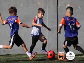 
<a style='margin-left: 5px;' class='btn btn-xs btn-social btn-facebook' href='https://www.facebook.com/sharer/sharer.php?u=https://www.boladovale.com.br/imgs/800-800-90/conteudo/fotos/1900/img3720.jpg' rel='popup' data-width='500' data-height='400'><i class='fa fa-facebook'></i>Compartilhar <span class='hidden-xs'>no Facebook</span>
</a> 
<a class='btn btn-default btn-xs' target='_blank' href='imgs/800-800-90/conteudo/fotos/1900/img3720.jpg'>
<span class='glyphicon glyphicon-cloud-download'></span> Salvar
</a> 
<span></span>