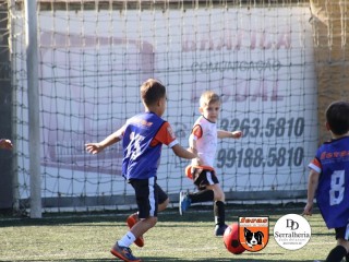 
<a style='margin-left: 5px;' class='btn btn-xs btn-social btn-facebook' href='https://www.facebook.com/sharer/sharer.php?u=https://www.boladovale.com.br/imgs/800-800-90/conteudo/fotos/1900/img3722.jpg' rel='popup' data-width='500' data-height='400'><i class='fa fa-facebook'></i>Compartilhar <span class='hidden-xs'>no Facebook</span>
</a> 
<a class='btn btn-default btn-xs' target='_blank' href='imgs/800-800-90/conteudo/fotos/1900/img3722.jpg'>
<span class='glyphicon glyphicon-cloud-download'></span> Salvar
</a> 
<span></span>