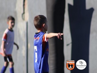 
<a style='margin-left: 5px;' class='btn btn-xs btn-social btn-facebook' href='https://www.facebook.com/sharer/sharer.php?u=https://www.boladovale.com.br/imgs/800-800-90/conteudo/fotos/1900/img3726.jpg' rel='popup' data-width='500' data-height='400'><i class='fa fa-facebook'></i>Compartilhar <span class='hidden-xs'>no Facebook</span>
</a> 
<a class='btn btn-default btn-xs' target='_blank' href='imgs/800-800-90/conteudo/fotos/1900/img3726.jpg'>
<span class='glyphicon glyphicon-cloud-download'></span> Salvar
</a> 
<span></span>