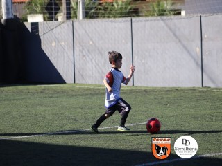 
<a style='margin-left: 5px;' class='btn btn-xs btn-social btn-facebook' href='https://www.facebook.com/sharer/sharer.php?u=https://www.boladovale.com.br/imgs/800-800-90/conteudo/fotos/1900/img3729.jpg' rel='popup' data-width='500' data-height='400'><i class='fa fa-facebook'></i>Compartilhar <span class='hidden-xs'>no Facebook</span>
</a> 
<a class='btn btn-default btn-xs' target='_blank' href='imgs/800-800-90/conteudo/fotos/1900/img3729.jpg'>
<span class='glyphicon glyphicon-cloud-download'></span> Salvar
</a> 
<span></span>