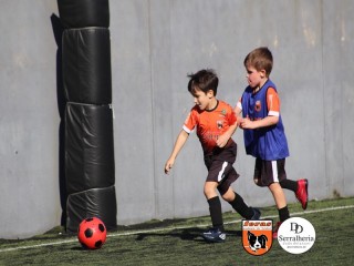
<a style='margin-left: 5px;' class='btn btn-xs btn-social btn-facebook' href='https://www.facebook.com/sharer/sharer.php?u=https://www.boladovale.com.br/imgs/800-800-90/conteudo/fotos/1900/img3831.jpg' rel='popup' data-width='500' data-height='400'><i class='fa fa-facebook'></i>Compartilhar <span class='hidden-xs'>no Facebook</span>
</a> 
<a class='btn btn-default btn-xs' target='_blank' href='imgs/800-800-90/conteudo/fotos/1900/img3831.jpg'>
<span class='glyphicon glyphicon-cloud-download'></span> Salvar
</a> 
<span></span>