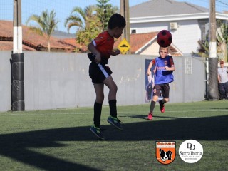
<a style='margin-left: 5px;' class='btn btn-xs btn-social btn-facebook' href='https://www.facebook.com/sharer/sharer.php?u=https://www.boladovale.com.br/imgs/800-800-90/conteudo/fotos/1900/img3841.jpg' rel='popup' data-width='500' data-height='400'><i class='fa fa-facebook'></i>Compartilhar <span class='hidden-xs'>no Facebook</span>
</a> 
<a class='btn btn-default btn-xs' target='_blank' href='imgs/800-800-90/conteudo/fotos/1900/img3841.jpg'>
<span class='glyphicon glyphicon-cloud-download'></span> Salvar
</a> 
<span></span>
