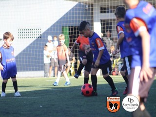 
<a style='margin-left: 5px;' class='btn btn-xs btn-social btn-facebook' href='https://www.facebook.com/sharer/sharer.php?u=https://www.boladovale.com.br/imgs/800-800-90/conteudo/fotos/1900/img3842.jpg' rel='popup' data-width='500' data-height='400'><i class='fa fa-facebook'></i>Compartilhar <span class='hidden-xs'>no Facebook</span>
</a> 
<a class='btn btn-default btn-xs' target='_blank' href='imgs/800-800-90/conteudo/fotos/1900/img3842.jpg'>
<span class='glyphicon glyphicon-cloud-download'></span> Salvar
</a> 
<span></span>