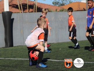 
<a style='margin-left: 5px;' class='btn btn-xs btn-social btn-facebook' href='https://www.facebook.com/sharer/sharer.php?u=https://www.boladovale.com.br/imgs/800-800-90/conteudo/fotos/1900/img3852.jpg' rel='popup' data-width='500' data-height='400'><i class='fa fa-facebook'></i>Compartilhar <span class='hidden-xs'>no Facebook</span>
</a> 
<a class='btn btn-default btn-xs' target='_blank' href='imgs/800-800-90/conteudo/fotos/1900/img3852.jpg'>
<span class='glyphicon glyphicon-cloud-download'></span> Salvar
</a> 
<span></span>