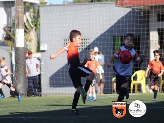 
<a style='margin-left: 5px;' class='btn btn-xs btn-social btn-facebook' href='https://www.facebook.com/sharer/sharer.php?u=https://www.boladovale.com.br/imgs/800-800-90/conteudo/fotos/1900/img3864.jpg' rel='popup' data-width='500' data-height='400'><i class='fa fa-facebook'></i>Compartilhar <span class='hidden-xs'>no Facebook</span>
</a> 
<a class='btn btn-default btn-xs' target='_blank' href='imgs/800-800-90/conteudo/fotos/1900/img3864.jpg'>
<span class='glyphicon glyphicon-cloud-download'></span> Salvar
</a> 
<span></span>