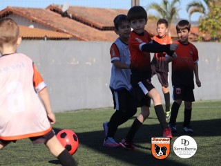 
<a style='margin-left: 5px;' class='btn btn-xs btn-social btn-facebook' href='https://www.facebook.com/sharer/sharer.php?u=https://www.boladovale.com.br/imgs/800-800-90/conteudo/fotos/1900/img3866.jpg' rel='popup' data-width='500' data-height='400'><i class='fa fa-facebook'></i>Compartilhar <span class='hidden-xs'>no Facebook</span>
</a> 
<a class='btn btn-default btn-xs' target='_blank' href='imgs/800-800-90/conteudo/fotos/1900/img3866.jpg'>
<span class='glyphicon glyphicon-cloud-download'></span> Salvar
</a> 
<span></span>
