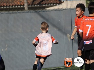 
<a style='margin-left: 5px;' class='btn btn-xs btn-social btn-facebook' href='https://www.facebook.com/sharer/sharer.php?u=https://www.boladovale.com.br/imgs/800-800-90/conteudo/fotos/1900/img3868.jpg' rel='popup' data-width='500' data-height='400'><i class='fa fa-facebook'></i>Compartilhar <span class='hidden-xs'>no Facebook</span>
</a> 
<a class='btn btn-default btn-xs' target='_blank' href='imgs/800-800-90/conteudo/fotos/1900/img3868.jpg'>
<span class='glyphicon glyphicon-cloud-download'></span> Salvar
</a> 
<span></span>