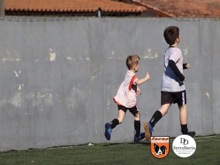 
<a style='margin-left: 5px;' class='btn btn-xs btn-social btn-facebook' href='https://www.facebook.com/sharer/sharer.php?u=https://www.boladovale.com.br/imgs/800-800-90/conteudo/fotos/1900/img3871.jpg' rel='popup' data-width='500' data-height='400'><i class='fa fa-facebook'></i>Compartilhar <span class='hidden-xs'>no Facebook</span>
</a> 
<a class='btn btn-default btn-xs' target='_blank' href='imgs/800-800-90/conteudo/fotos/1900/img3871.jpg'>
<span class='glyphicon glyphicon-cloud-download'></span> Salvar
</a> 
<span></span>