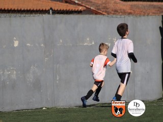 
<a style='margin-left: 5px;' class='btn btn-xs btn-social btn-facebook' href='https://www.facebook.com/sharer/sharer.php?u=https://www.boladovale.com.br/imgs/800-800-90/conteudo/fotos/1900/img3872.jpg' rel='popup' data-width='500' data-height='400'><i class='fa fa-facebook'></i>Compartilhar <span class='hidden-xs'>no Facebook</span>
</a> 
<a class='btn btn-default btn-xs' target='_blank' href='imgs/800-800-90/conteudo/fotos/1900/img3872.jpg'>
<span class='glyphicon glyphicon-cloud-download'></span> Salvar
</a> 
<span></span>