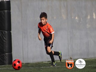 
<a style='margin-left: 5px;' class='btn btn-xs btn-social btn-facebook' href='https://www.facebook.com/sharer/sharer.php?u=https://www.boladovale.com.br/imgs/800-800-90/conteudo/fotos/1900/img3873.jpg' rel='popup' data-width='500' data-height='400'><i class='fa fa-facebook'></i>Compartilhar <span class='hidden-xs'>no Facebook</span>
</a> 
<a class='btn btn-default btn-xs' target='_blank' href='imgs/800-800-90/conteudo/fotos/1900/img3873.jpg'>
<span class='glyphicon glyphicon-cloud-download'></span> Salvar
</a> 
<span></span>
