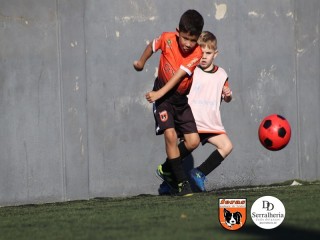 
<a style='margin-left: 5px;' class='btn btn-xs btn-social btn-facebook' href='https://www.facebook.com/sharer/sharer.php?u=https://www.boladovale.com.br/imgs/800-800-90/conteudo/fotos/1900/img3874.jpg' rel='popup' data-width='500' data-height='400'><i class='fa fa-facebook'></i>Compartilhar <span class='hidden-xs'>no Facebook</span>
</a> 
<a class='btn btn-default btn-xs' target='_blank' href='imgs/800-800-90/conteudo/fotos/1900/img3874.jpg'>
<span class='glyphicon glyphicon-cloud-download'></span> Salvar
</a> 
<span></span>
