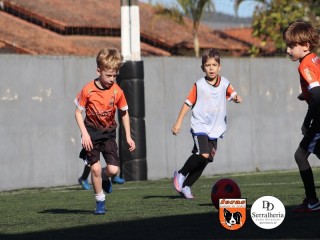 
<a style='margin-left: 5px;' class='btn btn-xs btn-social btn-facebook' href='https://www.facebook.com/sharer/sharer.php?u=https://www.boladovale.com.br/imgs/800-800-90/conteudo/fotos/1900/img3875.jpg' rel='popup' data-width='500' data-height='400'><i class='fa fa-facebook'></i>Compartilhar <span class='hidden-xs'>no Facebook</span>
</a> 
<a class='btn btn-default btn-xs' target='_blank' href='imgs/800-800-90/conteudo/fotos/1900/img3875.jpg'>
<span class='glyphicon glyphicon-cloud-download'></span> Salvar
</a> 
<span></span>