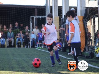 
<a style='margin-left: 5px;' class='btn btn-xs btn-social btn-facebook' href='https://www.facebook.com/sharer/sharer.php?u=https://www.boladovale.com.br/imgs/800-800-90/conteudo/fotos/1900/img3877.jpg' rel='popup' data-width='500' data-height='400'><i class='fa fa-facebook'></i>Compartilhar <span class='hidden-xs'>no Facebook</span>
</a> 
<a class='btn btn-default btn-xs' target='_blank' href='imgs/800-800-90/conteudo/fotos/1900/img3877.jpg'>
<span class='glyphicon glyphicon-cloud-download'></span> Salvar
</a> 
<span></span>