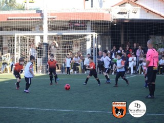 
<a style='margin-left: 5px;' class='btn btn-xs btn-social btn-facebook' href='https://www.facebook.com/sharer/sharer.php?u=https://www.boladovale.com.br/imgs/800-800-90/conteudo/fotos/1900/img3878.jpg' rel='popup' data-width='500' data-height='400'><i class='fa fa-facebook'></i>Compartilhar <span class='hidden-xs'>no Facebook</span>
</a> 
<a class='btn btn-default btn-xs' target='_blank' href='imgs/800-800-90/conteudo/fotos/1900/img3878.jpg'>
<span class='glyphicon glyphicon-cloud-download'></span> Salvar
</a> 
<span></span>