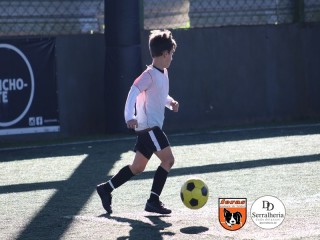 
<a style='margin-left: 5px;' class='btn btn-xs btn-social btn-facebook' href='https://www.facebook.com/sharer/sharer.php?u=https://www.boladovale.com.br/imgs/800-800-90/conteudo/fotos/1900/img3897.jpg' rel='popup' data-width='500' data-height='400'><i class='fa fa-facebook'></i>Compartilhar <span class='hidden-xs'>no Facebook</span>
</a> 
<a class='btn btn-default btn-xs' target='_blank' href='imgs/800-800-90/conteudo/fotos/1900/img3897.jpg'>
<span class='glyphicon glyphicon-cloud-download'></span> Salvar
</a> 
<span></span>