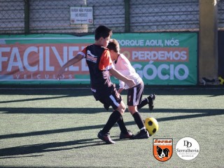 
<a style='margin-left: 5px;' class='btn btn-xs btn-social btn-facebook' href='https://www.facebook.com/sharer/sharer.php?u=https://www.boladovale.com.br/imgs/800-800-90/conteudo/fotos/1900/img3910.jpg' rel='popup' data-width='500' data-height='400'><i class='fa fa-facebook'></i>Compartilhar <span class='hidden-xs'>no Facebook</span>
</a> 
<a class='btn btn-default btn-xs' target='_blank' href='imgs/800-800-90/conteudo/fotos/1900/img3910.jpg'>
<span class='glyphicon glyphicon-cloud-download'></span> Salvar
</a> 
<span></span>