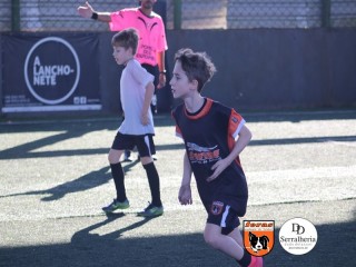 
<a style='margin-left: 5px;' class='btn btn-xs btn-social btn-facebook' href='https://www.facebook.com/sharer/sharer.php?u=https://www.boladovale.com.br/imgs/800-800-90/conteudo/fotos/1900/img3914.jpg' rel='popup' data-width='500' data-height='400'><i class='fa fa-facebook'></i>Compartilhar <span class='hidden-xs'>no Facebook</span>
</a> 
<a class='btn btn-default btn-xs' target='_blank' href='imgs/800-800-90/conteudo/fotos/1900/img3914.jpg'>
<span class='glyphicon glyphicon-cloud-download'></span> Salvar
</a> 
<span></span>