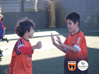 
<a style='margin-left: 5px;' class='btn btn-xs btn-social btn-facebook' href='https://www.facebook.com/sharer/sharer.php?u=https://www.boladovale.com.br/imgs/800-800-90/conteudo/fotos/1900/img3931.jpg' rel='popup' data-width='500' data-height='400'><i class='fa fa-facebook'></i>Compartilhar <span class='hidden-xs'>no Facebook</span>
</a> 
<a class='btn btn-default btn-xs' target='_blank' href='imgs/800-800-90/conteudo/fotos/1900/img3931.jpg'>
<span class='glyphicon glyphicon-cloud-download'></span> Salvar
</a> 
<span></span>