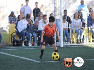 
<a style='margin-left: 5px;' class='btn btn-xs btn-social btn-facebook' href='https://www.facebook.com/sharer/sharer.php?u=https://www.boladovale.com.br/imgs/800-800-90/conteudo/fotos/1900/img3933.jpg' rel='popup' data-width='500' data-height='400'><i class='fa fa-facebook'></i>Compartilhar <span class='hidden-xs'>no Facebook</span>
</a> 
<a class='btn btn-default btn-xs' target='_blank' href='imgs/800-800-90/conteudo/fotos/1900/img3933.jpg'>
<span class='glyphicon glyphicon-cloud-download'></span> Salvar
</a> 
<span></span>