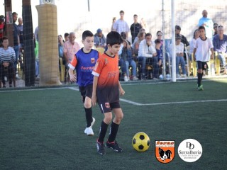 
<a style='margin-left: 5px;' class='btn btn-xs btn-social btn-facebook' href='https://www.facebook.com/sharer/sharer.php?u=https://www.boladovale.com.br/imgs/800-800-90/conteudo/fotos/1900/img3934.jpg' rel='popup' data-width='500' data-height='400'><i class='fa fa-facebook'></i>Compartilhar <span class='hidden-xs'>no Facebook</span>
</a> 
<a class='btn btn-default btn-xs' target='_blank' href='imgs/800-800-90/conteudo/fotos/1900/img3934.jpg'>
<span class='glyphicon glyphicon-cloud-download'></span> Salvar
</a> 
<span></span>