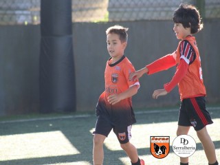 
<a style='margin-left: 5px;' class='btn btn-xs btn-social btn-facebook' href='https://www.facebook.com/sharer/sharer.php?u=https://www.boladovale.com.br/imgs/800-800-90/conteudo/fotos/1900/img3950.jpg' rel='popup' data-width='500' data-height='400'><i class='fa fa-facebook'></i>Compartilhar <span class='hidden-xs'>no Facebook</span>
</a> 
<a class='btn btn-default btn-xs' target='_blank' href='imgs/800-800-90/conteudo/fotos/1900/img3950.jpg'>
<span class='glyphicon glyphicon-cloud-download'></span> Salvar
</a> 
<span></span>