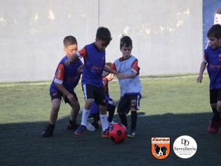 
<a style='margin-left: 5px;' class='btn btn-xs btn-social btn-facebook' href='https://www.facebook.com/sharer/sharer.php?u=https://www.boladovale.com.br/imgs/800-800-90/conteudo/fotos/1900/img3953.jpg' rel='popup' data-width='500' data-height='400'><i class='fa fa-facebook'></i>Compartilhar <span class='hidden-xs'>no Facebook</span>
</a> 
<a class='btn btn-default btn-xs' target='_blank' href='imgs/800-800-90/conteudo/fotos/1900/img3953.jpg'>
<span class='glyphicon glyphicon-cloud-download'></span> Salvar
</a> 
<span></span>