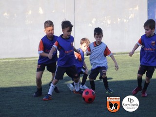 
<a style='margin-left: 5px;' class='btn btn-xs btn-social btn-facebook' href='https://www.facebook.com/sharer/sharer.php?u=https://www.boladovale.com.br/imgs/800-800-90/conteudo/fotos/1900/img3954.jpg' rel='popup' data-width='500' data-height='400'><i class='fa fa-facebook'></i>Compartilhar <span class='hidden-xs'>no Facebook</span>
</a> 
<a class='btn btn-default btn-xs' target='_blank' href='imgs/800-800-90/conteudo/fotos/1900/img3954.jpg'>
<span class='glyphicon glyphicon-cloud-download'></span> Salvar
</a> 
<span></span>