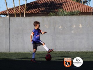 
<a style='margin-left: 5px;' class='btn btn-xs btn-social btn-facebook' href='https://www.facebook.com/sharer/sharer.php?u=https://www.boladovale.com.br/imgs/800-800-90/conteudo/fotos/1900/img3955.jpg' rel='popup' data-width='500' data-height='400'><i class='fa fa-facebook'></i>Compartilhar <span class='hidden-xs'>no Facebook</span>
</a> 
<a class='btn btn-default btn-xs' target='_blank' href='imgs/800-800-90/conteudo/fotos/1900/img3955.jpg'>
<span class='glyphicon glyphicon-cloud-download'></span> Salvar
</a> 
<span></span>
