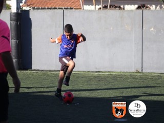 
<a style='margin-left: 5px;' class='btn btn-xs btn-social btn-facebook' href='https://www.facebook.com/sharer/sharer.php?u=https://www.boladovale.com.br/imgs/800-800-90/conteudo/fotos/1900/img3956.jpg' rel='popup' data-width='500' data-height='400'><i class='fa fa-facebook'></i>Compartilhar <span class='hidden-xs'>no Facebook</span>
</a> 
<a class='btn btn-default btn-xs' target='_blank' href='imgs/800-800-90/conteudo/fotos/1900/img3956.jpg'>
<span class='glyphicon glyphicon-cloud-download'></span> Salvar
</a> 
<span></span>