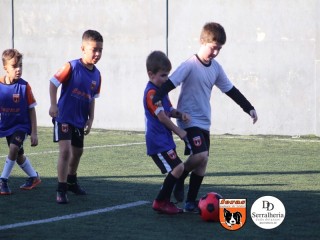 
<a style='margin-left: 5px;' class='btn btn-xs btn-social btn-facebook' href='https://www.facebook.com/sharer/sharer.php?u=https://www.boladovale.com.br/imgs/800-800-90/conteudo/fotos/1900/img3962.jpg' rel='popup' data-width='500' data-height='400'><i class='fa fa-facebook'></i>Compartilhar <span class='hidden-xs'>no Facebook</span>
</a> 
<a class='btn btn-default btn-xs' target='_blank' href='imgs/800-800-90/conteudo/fotos/1900/img3962.jpg'>
<span class='glyphicon glyphicon-cloud-download'></span> Salvar
</a> 
<span></span>
