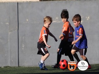 
<a style='margin-left: 5px;' class='btn btn-xs btn-social btn-facebook' href='https://www.facebook.com/sharer/sharer.php?u=https://www.boladovale.com.br/imgs/800-800-90/conteudo/fotos/1900/img3971.jpg' rel='popup' data-width='500' data-height='400'><i class='fa fa-facebook'></i>Compartilhar <span class='hidden-xs'>no Facebook</span>
</a> 
<a class='btn btn-default btn-xs' target='_blank' href='imgs/800-800-90/conteudo/fotos/1900/img3971.jpg'>
<span class='glyphicon glyphicon-cloud-download'></span> Salvar
</a> 
<span></span>