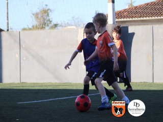 
<a style='margin-left: 5px;' class='btn btn-xs btn-social btn-facebook' href='https://www.facebook.com/sharer/sharer.php?u=https://www.boladovale.com.br/imgs/800-800-90/conteudo/fotos/1900/img3972.jpg' rel='popup' data-width='500' data-height='400'><i class='fa fa-facebook'></i>Compartilhar <span class='hidden-xs'>no Facebook</span>
</a> 
<a class='btn btn-default btn-xs' target='_blank' href='imgs/800-800-90/conteudo/fotos/1900/img3972.jpg'>
<span class='glyphicon glyphicon-cloud-download'></span> Salvar
</a> 
<span></span>