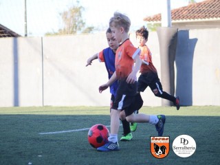 
<a style='margin-left: 5px;' class='btn btn-xs btn-social btn-facebook' href='https://www.facebook.com/sharer/sharer.php?u=https://www.boladovale.com.br/imgs/800-800-90/conteudo/fotos/1900/img3973.jpg' rel='popup' data-width='500' data-height='400'><i class='fa fa-facebook'></i>Compartilhar <span class='hidden-xs'>no Facebook</span>
</a> 
<a class='btn btn-default btn-xs' target='_blank' href='imgs/800-800-90/conteudo/fotos/1900/img3973.jpg'>
<span class='glyphicon glyphicon-cloud-download'></span> Salvar
</a> 
<span></span>