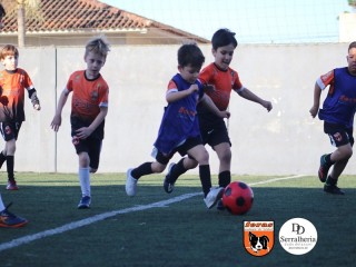 
<a style='margin-left: 5px;' class='btn btn-xs btn-social btn-facebook' href='https://www.facebook.com/sharer/sharer.php?u=https://www.boladovale.com.br/imgs/800-800-90/conteudo/fotos/1900/img3979.jpg' rel='popup' data-width='500' data-height='400'><i class='fa fa-facebook'></i>Compartilhar <span class='hidden-xs'>no Facebook</span>
</a> 
<a class='btn btn-default btn-xs' target='_blank' href='imgs/800-800-90/conteudo/fotos/1900/img3979.jpg'>
<span class='glyphicon glyphicon-cloud-download'></span> Salvar
</a> 
<span></span>