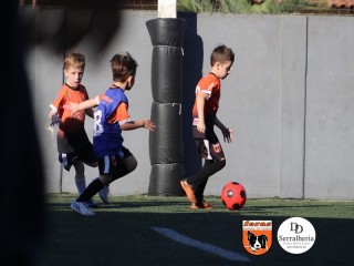 
<a style='margin-left: 5px;' class='btn btn-xs btn-social btn-facebook' href='https://www.facebook.com/sharer/sharer.php?u=https://www.boladovale.com.br/imgs/800-800-90/conteudo/fotos/1900/img3981.jpg' rel='popup' data-width='500' data-height='400'><i class='fa fa-facebook'></i>Compartilhar <span class='hidden-xs'>no Facebook</span>
</a> 
<a class='btn btn-default btn-xs' target='_blank' href='imgs/800-800-90/conteudo/fotos/1900/img3981.jpg'>
<span class='glyphicon glyphicon-cloud-download'></span> Salvar
</a> 
<span></span>