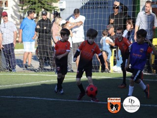 
<a style='margin-left: 5px;' class='btn btn-xs btn-social btn-facebook' href='https://www.facebook.com/sharer/sharer.php?u=https://www.boladovale.com.br/imgs/800-800-90/conteudo/fotos/1900/img3982.jpg' rel='popup' data-width='500' data-height='400'><i class='fa fa-facebook'></i>Compartilhar <span class='hidden-xs'>no Facebook</span>
</a> 
<a class='btn btn-default btn-xs' target='_blank' href='imgs/800-800-90/conteudo/fotos/1900/img3982.jpg'>
<span class='glyphicon glyphicon-cloud-download'></span> Salvar
</a> 
<span></span>