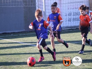 
<a style='margin-left: 5px;' class='btn btn-xs btn-social btn-facebook' href='https://www.facebook.com/sharer/sharer.php?u=https://www.boladovale.com.br/imgs/800-800-90/conteudo/fotos/1900/img3983.jpg' rel='popup' data-width='500' data-height='400'><i class='fa fa-facebook'></i>Compartilhar <span class='hidden-xs'>no Facebook</span>
</a> 
<a class='btn btn-default btn-xs' target='_blank' href='imgs/800-800-90/conteudo/fotos/1900/img3983.jpg'>
<span class='glyphicon glyphicon-cloud-download'></span> Salvar
</a> 
<span></span>