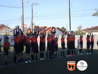 
<a style='margin-left: 5px;' class='btn btn-xs btn-social btn-facebook' href='https://www.facebook.com/sharer/sharer.php?u=https://www.boladovale.com.br/imgs/800-800-90/conteudo/fotos/1900/img4056.jpg' rel='popup' data-width='500' data-height='400'><i class='fa fa-facebook'></i>Compartilhar <span class='hidden-xs'>no Facebook</span>
</a> 
<a class='btn btn-default btn-xs' target='_blank' href='imgs/800-800-90/conteudo/fotos/1900/img4056.jpg'>
<span class='glyphicon glyphicon-cloud-download'></span> Salvar
</a> 
<span></span>