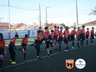 
<a style='margin-left: 5px;' class='btn btn-xs btn-social btn-facebook' href='https://www.facebook.com/sharer/sharer.php?u=https://www.boladovale.com.br/imgs/800-800-90/conteudo/fotos/1900/img4059.jpg' rel='popup' data-width='500' data-height='400'><i class='fa fa-facebook'></i>Compartilhar <span class='hidden-xs'>no Facebook</span>
</a> 
<a class='btn btn-default btn-xs' target='_blank' href='imgs/800-800-90/conteudo/fotos/1900/img4059.jpg'>
<span class='glyphicon glyphicon-cloud-download'></span> Salvar
</a> 
<span></span>