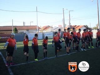 
<a style='margin-left: 5px;' class='btn btn-xs btn-social btn-facebook' href='https://www.facebook.com/sharer/sharer.php?u=https://www.boladovale.com.br/imgs/800-800-90/conteudo/fotos/1900/img4060.jpg' rel='popup' data-width='500' data-height='400'><i class='fa fa-facebook'></i>Compartilhar <span class='hidden-xs'>no Facebook</span>
</a> 
<a class='btn btn-default btn-xs' target='_blank' href='imgs/800-800-90/conteudo/fotos/1900/img4060.jpg'>
<span class='glyphicon glyphicon-cloud-download'></span> Salvar
</a> 
<span></span>