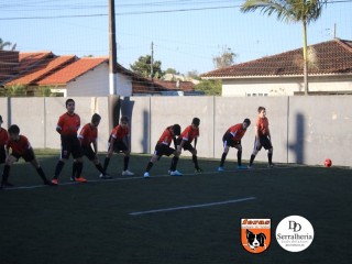 
<a style='margin-left: 5px;' class='btn btn-xs btn-social btn-facebook' href='https://www.facebook.com/sharer/sharer.php?u=https://www.boladovale.com.br/imgs/800-800-90/conteudo/fotos/1900/img4064.jpg' rel='popup' data-width='500' data-height='400'><i class='fa fa-facebook'></i>Compartilhar <span class='hidden-xs'>no Facebook</span>
</a> 
<a class='btn btn-default btn-xs' target='_blank' href='imgs/800-800-90/conteudo/fotos/1900/img4064.jpg'>
<span class='glyphicon glyphicon-cloud-download'></span> Salvar
</a> 
<span></span>