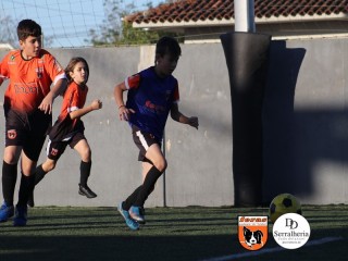 
<a style='margin-left: 5px;' class='btn btn-xs btn-social btn-facebook' href='https://www.facebook.com/sharer/sharer.php?u=https://www.boladovale.com.br/imgs/800-800-90/conteudo/fotos/1900/img4074.jpg' rel='popup' data-width='500' data-height='400'><i class='fa fa-facebook'></i>Compartilhar <span class='hidden-xs'>no Facebook</span>
</a> 
<a class='btn btn-default btn-xs' target='_blank' href='imgs/800-800-90/conteudo/fotos/1900/img4074.jpg'>
<span class='glyphicon glyphicon-cloud-download'></span> Salvar
</a> 
<span></span>